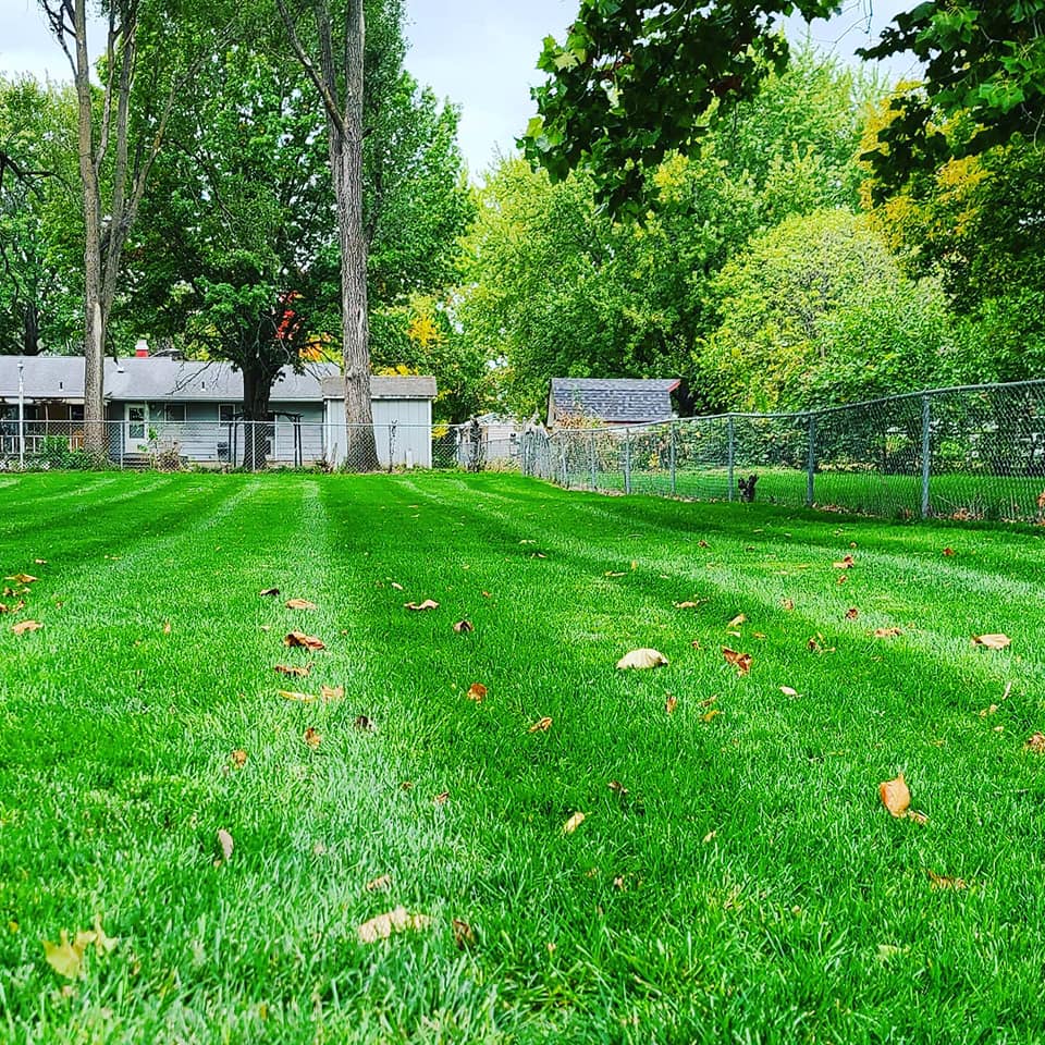 Lawn Care & Maintenance at Left Side Lawn Care