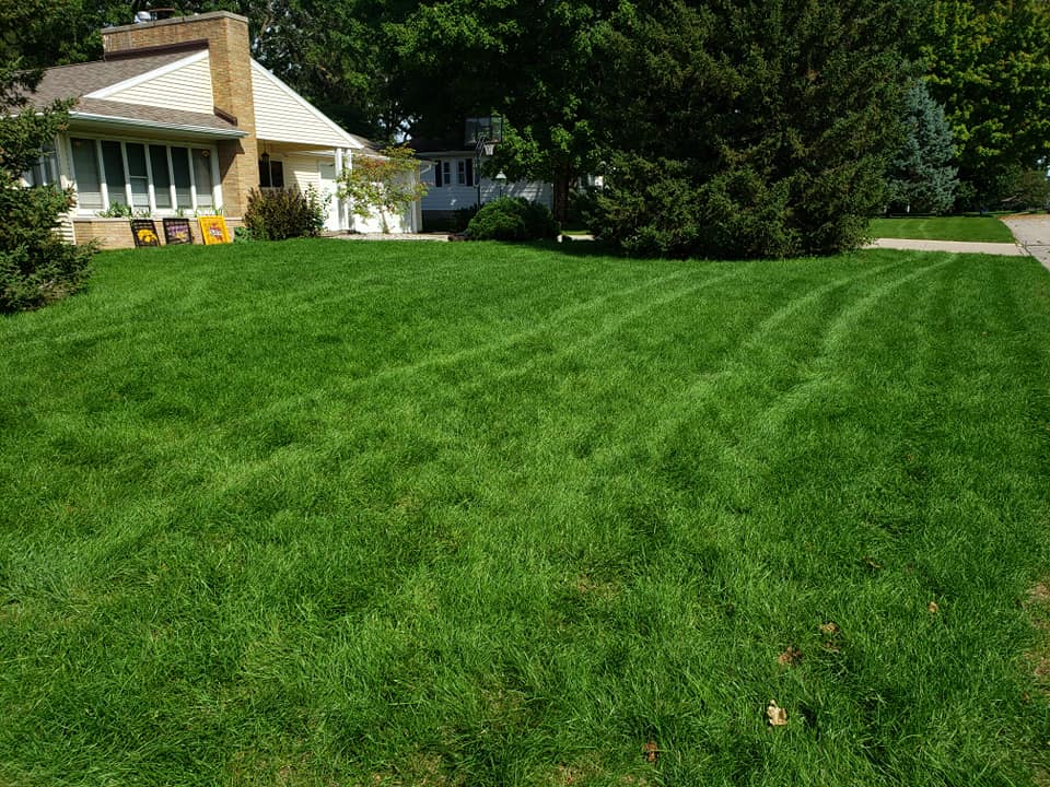 Lawn Care & Maintenance at Left Side Lawn Care